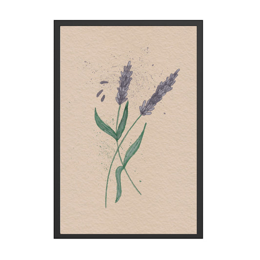 Lavendel Plakat