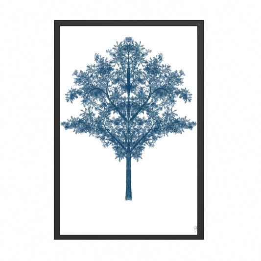 c1795c32-6554-4c4c-88e1-f22085ce7f44